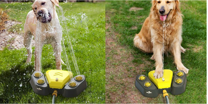 Dog Water Fountain & Backyard Sprinkler