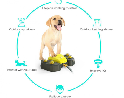Dog Water Fountain & Backyard Sprinkler