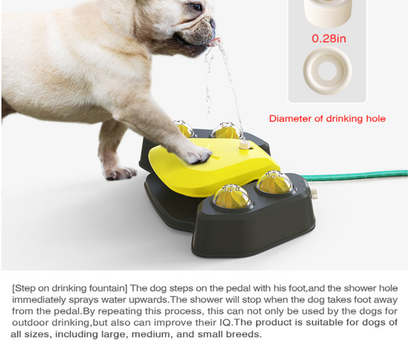 Dog Water Fountain & Backyard Sprinkler