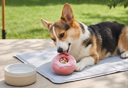 Frozen Treat-Filling Donut Dog Toy